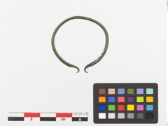 Foto von Bronzearmreif (NHMW-PRAE-023745)